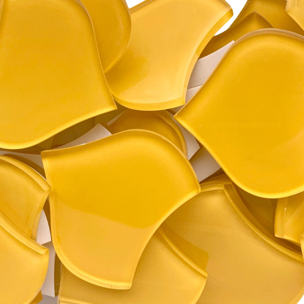 Grande Écaille de Poisson Mais