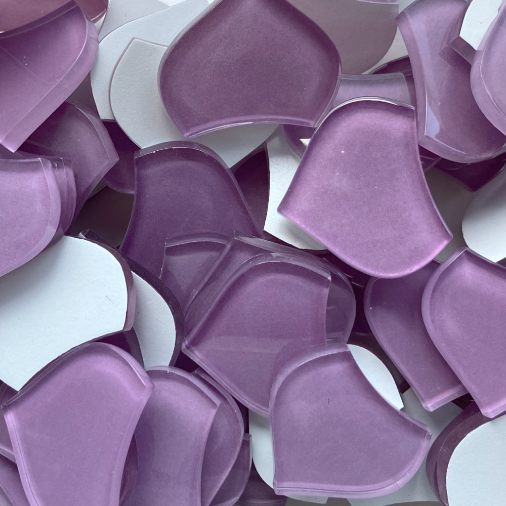 Średnia łuska rybia orchidea