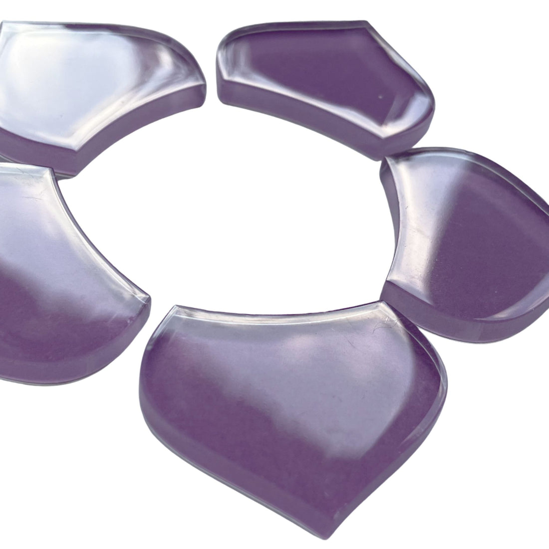 Średnia łuska rybia orchidea