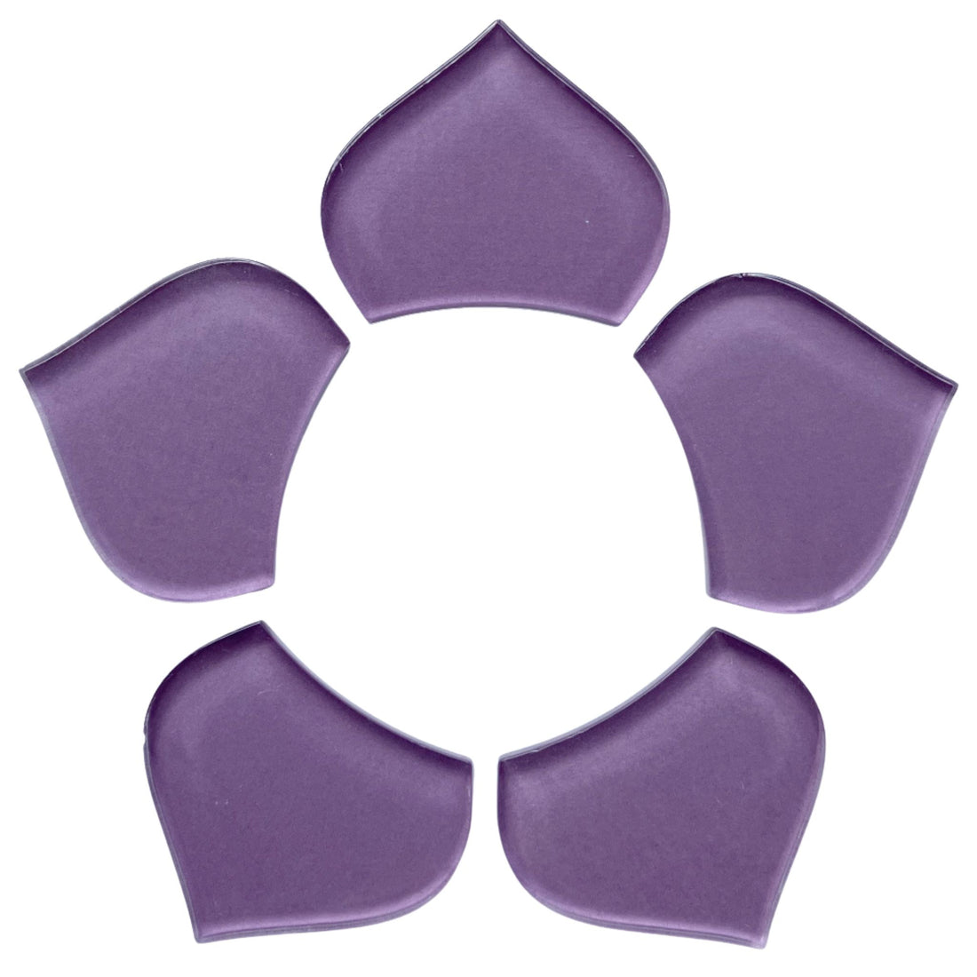 Średnia łuska rybia orchidea