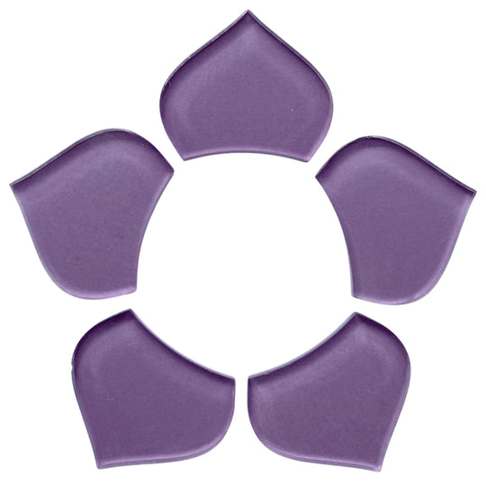 Średnia łuska rybia orchidea