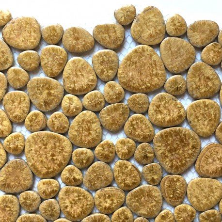 Otoczaki Złota Skała