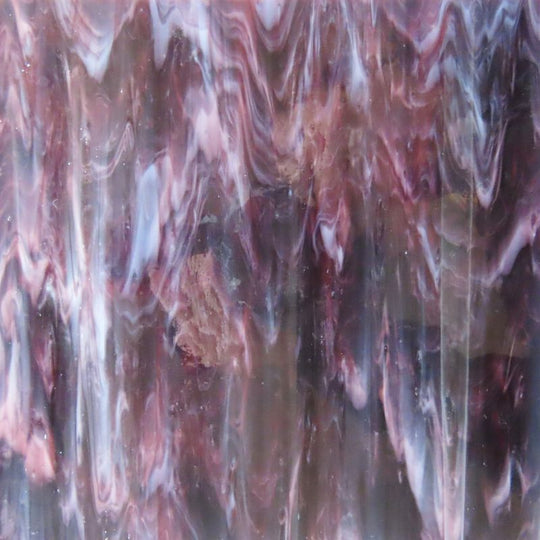 Glass Plate Shrinking Violet 