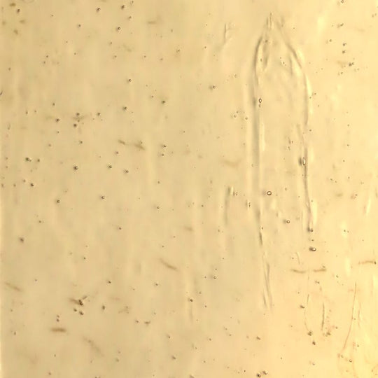 Płyta szklana Szampan Antyczne szkło