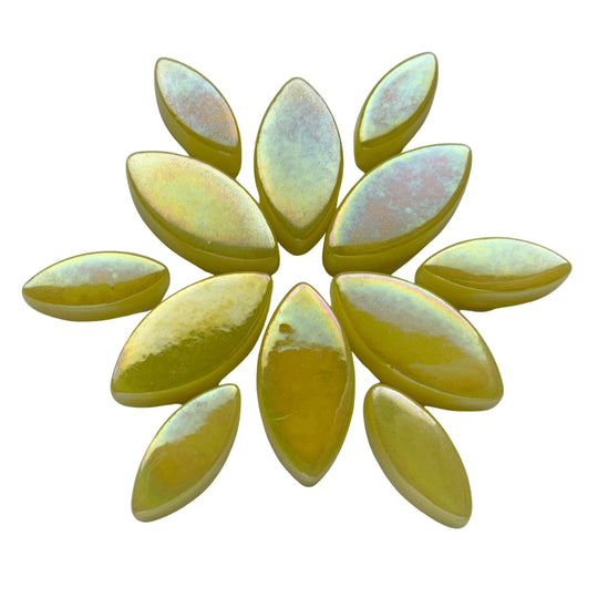 Ottoman Płatki Kwiatów Perłowo Żółty