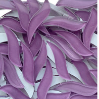 Wavy Petals Orchid