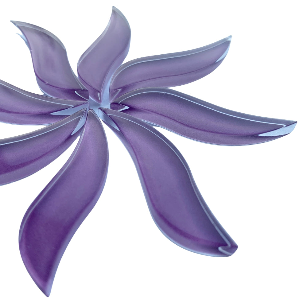 Wavy Petals Orchid