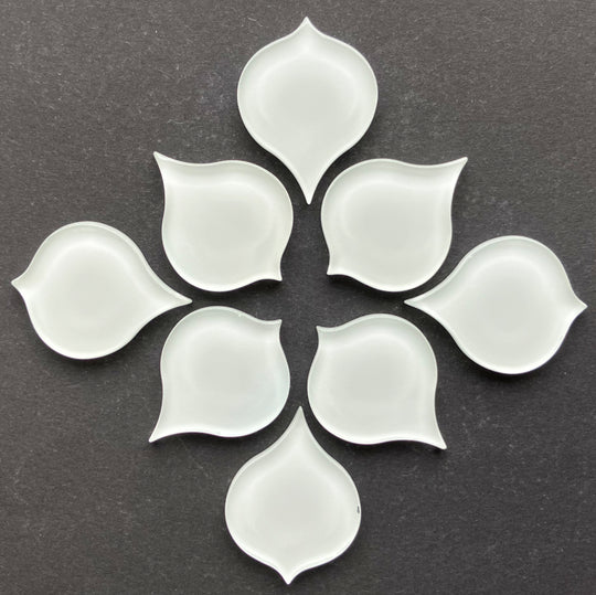 Oko pawia  Śnieżnobiały