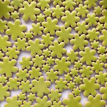 Charms Bloemen Kiwi