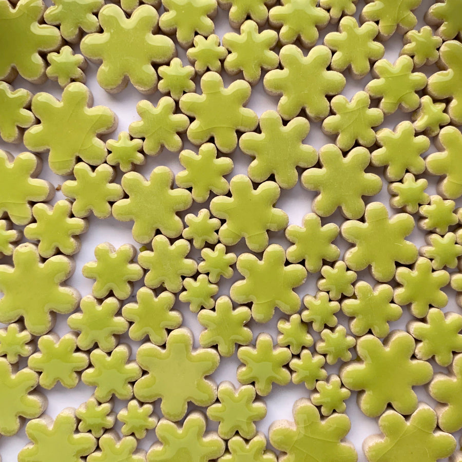 Charms Kwiaty Kiwi