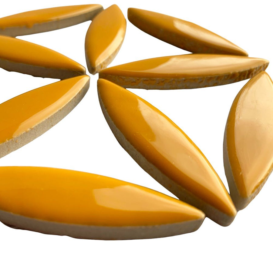 Ellipse de Céramique  Curry