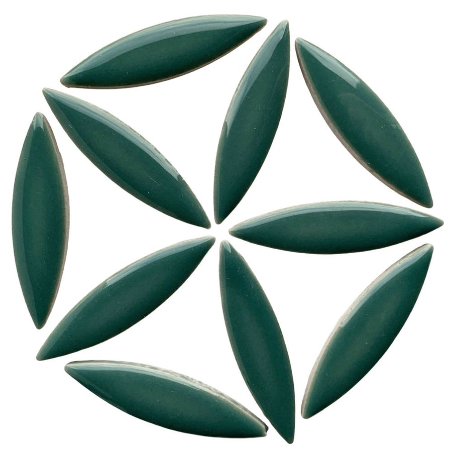 Ellips Phetalogroen