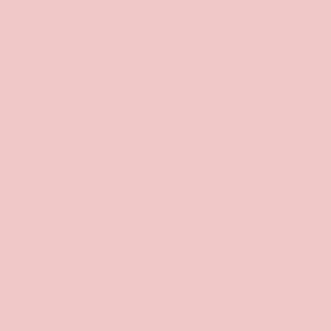 Winckelmans 100mm Rose