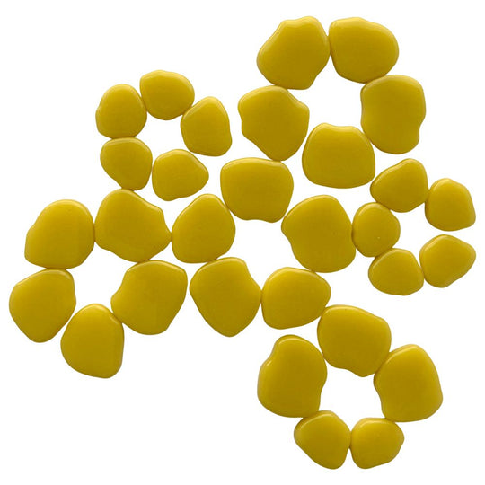 Kwiat Wiśni Opałowożółty