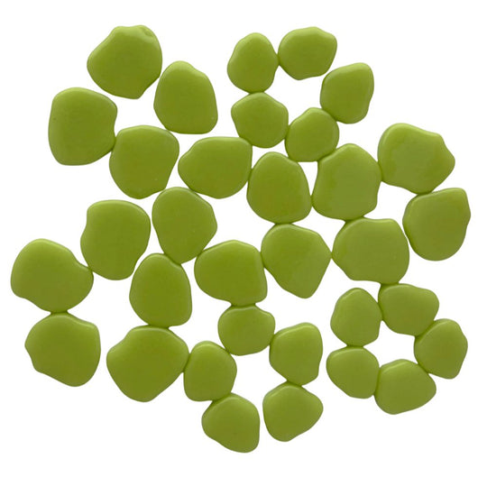 Kwiat Wiśni  Nowozielony