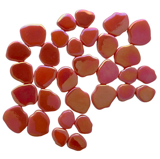 Kwiat Wiśni Perłowo Arbuz