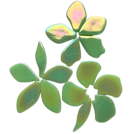 Fallen Petals Pearlised Mint