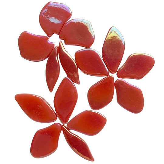 Fallen Petals Pearlised Watermelon