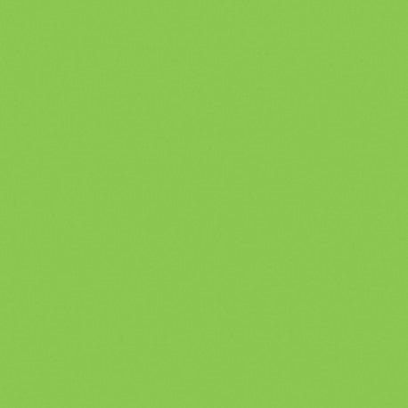 Mosa-17900 Macaw Vert 15cm — Mosaicshop