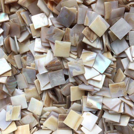 Perłowa Muszla 15mm