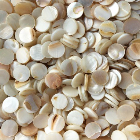 Perłowa Muszla Okrągła 10mm